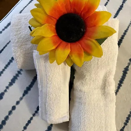 Dimora Girasole Appartamento